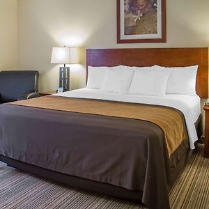 Comfort Inn Cockatoo Near Lax Airport
